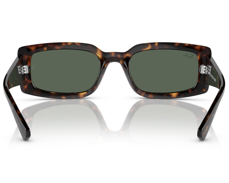 image_cdcc0707-e0bb-46c7-b69c-8091a5b7c479