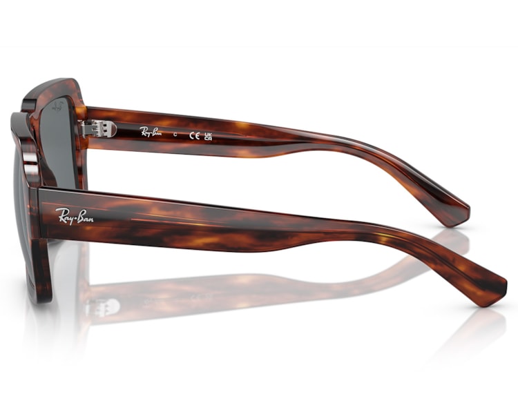 image_a669657f-50bd-4c8f-9471-7d04506e7d37