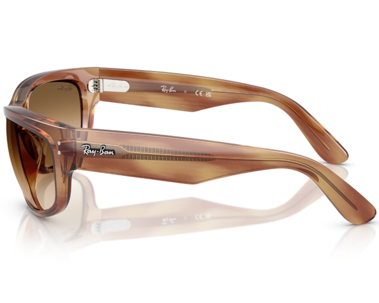 image_995db79c-152a-4147-bd83-e191d85aeeb2