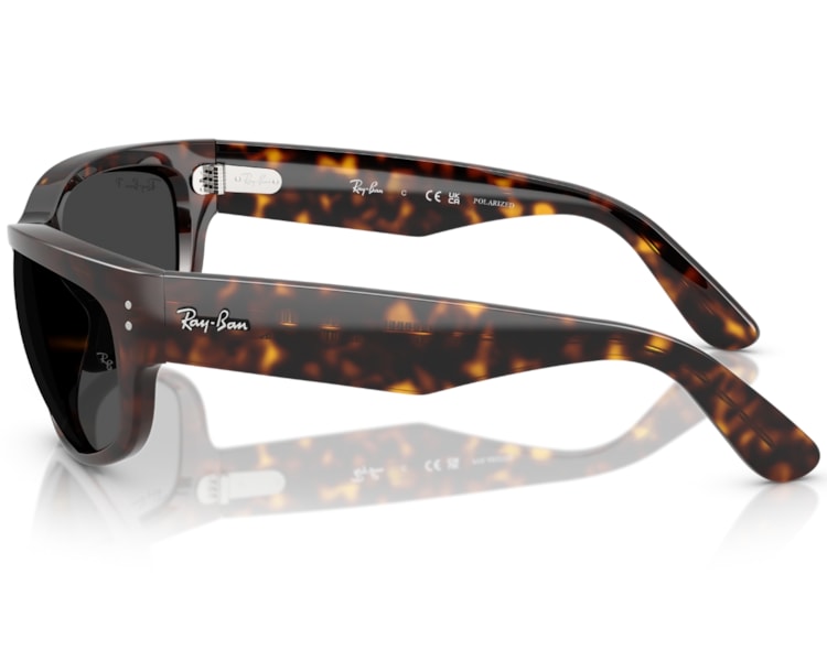 image_ee878c55-99ef-465d-9499-789b420a248c