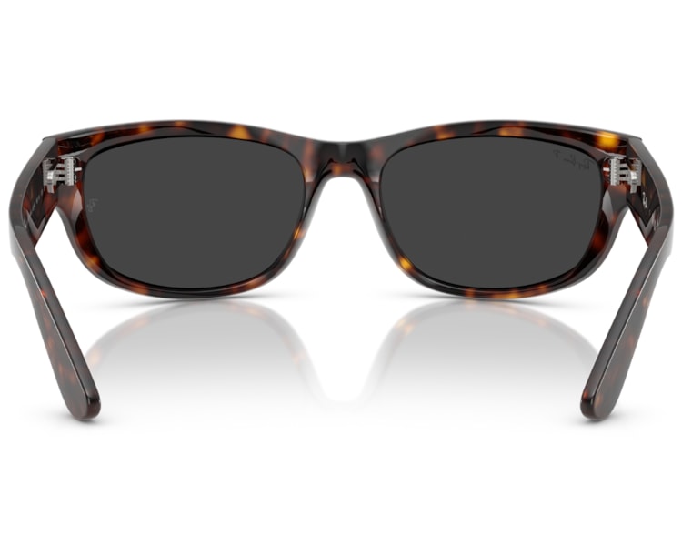 image_e93c7305-3a7c-45cf-ac41-8448aa3fd0bf