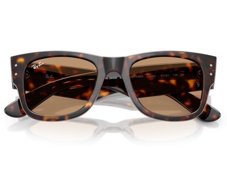 image_2e310d87-c83a-4c6e-8fcf-9d0ffeec8231