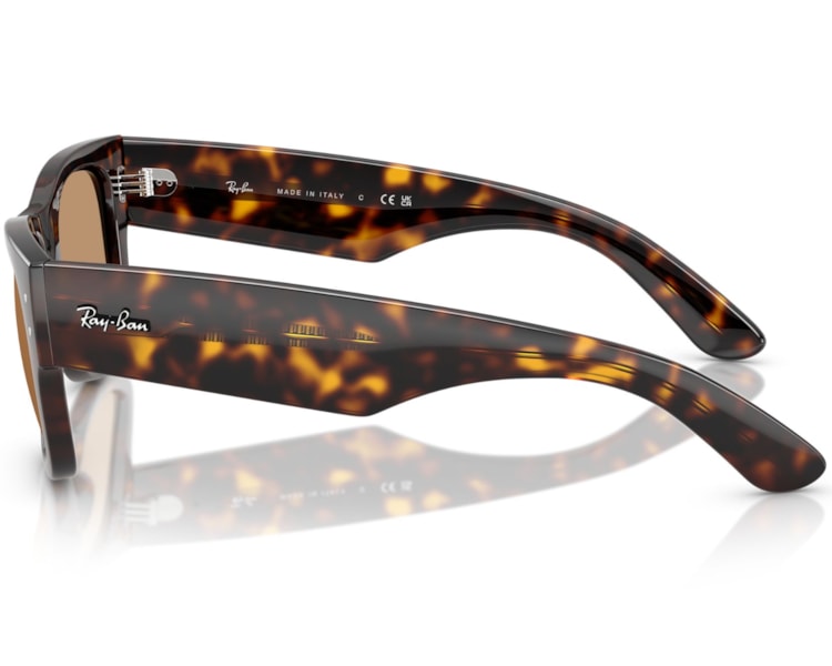 image_2c180575-56ad-4e93-8a45-c78bab150e40