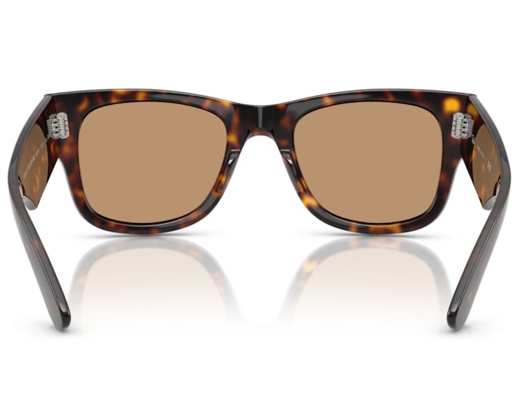 image_7e128c4a-a71d-440e-9577-74aa0f90c5cc