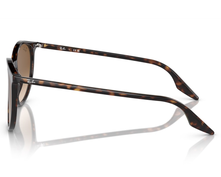 image_91ec76b0-3d68-4eb3-bd69-07010318ab46