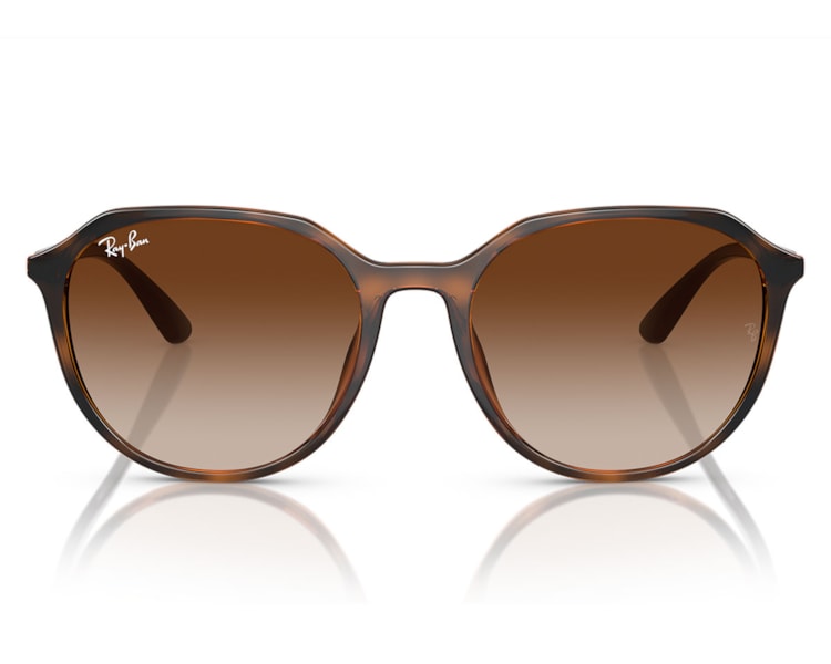 image_40734a5d-dfba-4fb8-b04b-fb0aa2afd887