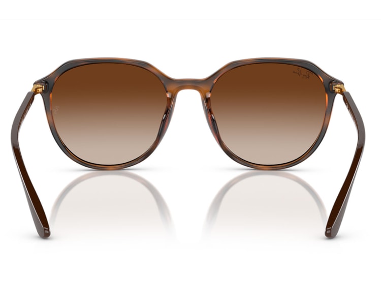 image_fd3dc069-6bc3-4f3c-bedc-6b8e753eb954