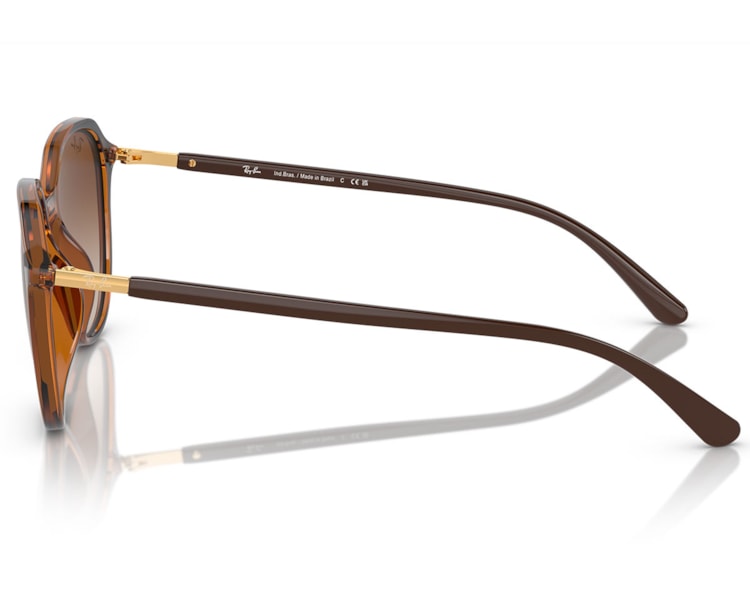 image_a87953ec-06cf-4c7b-9fd5-d20f02aab46f