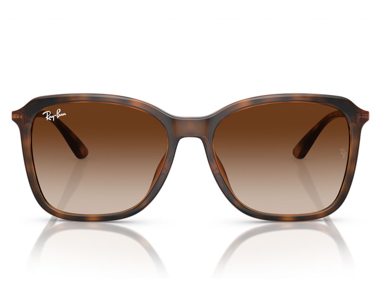 image_cf398761-8a77-4447-b6d6-210213439426