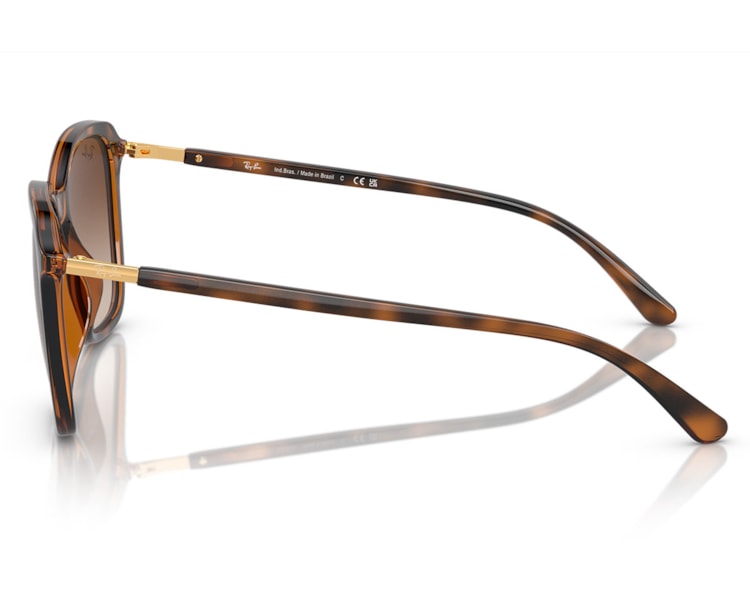 image_339244e6-8889-4547-a167-156391f8dbe0