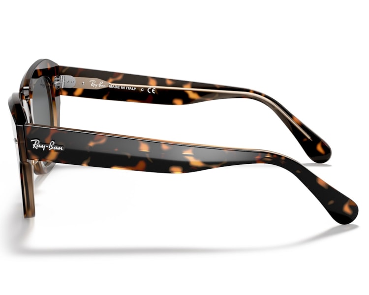 image_d81f79df-1fda-40ab-8a89-cfbf35c0303e