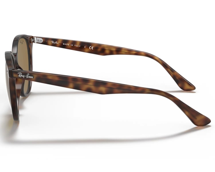 image_cce09498-f088-4418-b91e-e2f0d2d93f1c