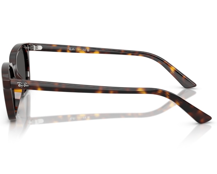 image_b6b960d8-b7c1-4c14-9c12-3627e9101473