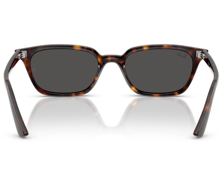 image_02966b19-6895-4537-ae60-9941eed02739