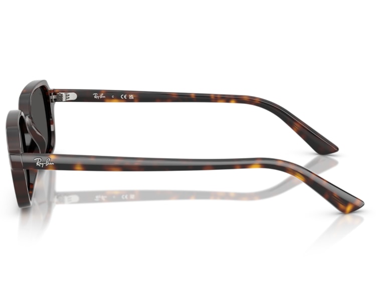 image_cded43df-92a7-419a-be34-1dd33ad5d7c3