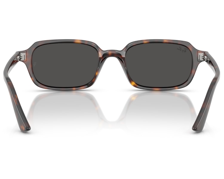 image_c502f89a-1123-4be7-80b7-0c84ddee3ac1