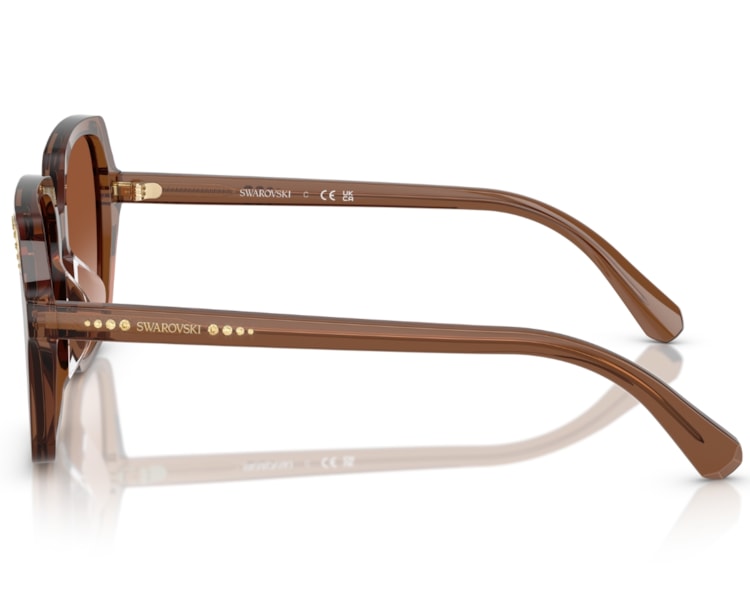 image_eb64c89d-ecb2-40e1-9ade-e4a9c6096c86