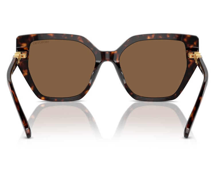 image_13c90a43-59eb-49b2-8eb6-518eb3d40cf4