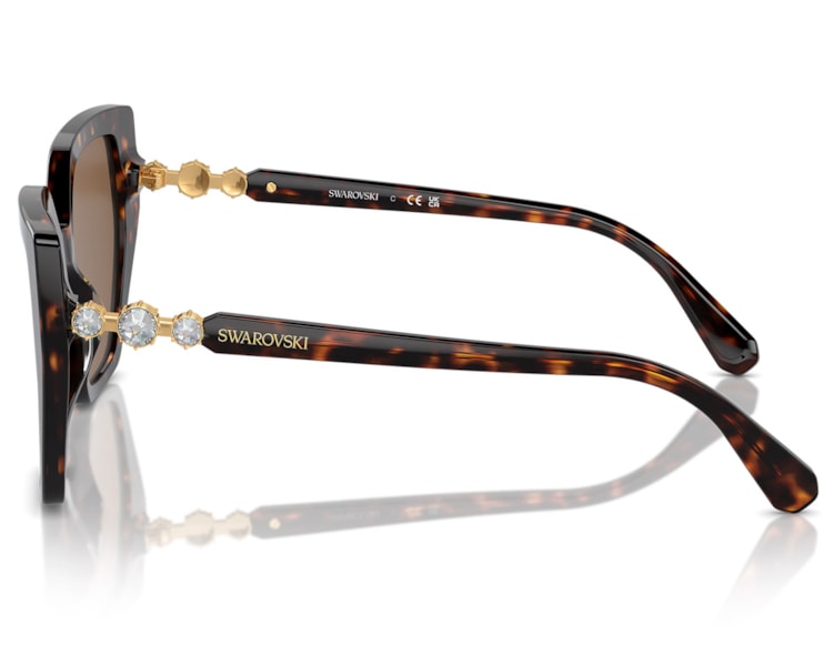 image_f50329f9-932e-4fcc-8cb4-423713b59354